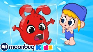 Thumbnail